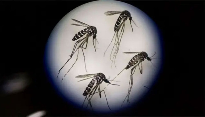 দীর্ঘ হচ্ছে লাশের মিছিল