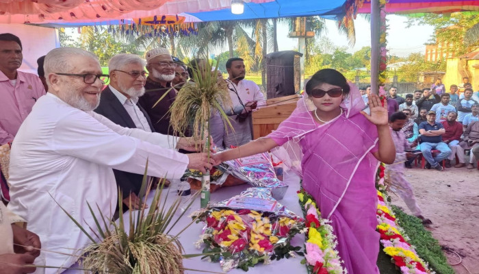 মাধবপুরে বিএনপির মহাসমাবেশে জনসাগর—ধানের শীষের পক্ষে গণজোয়ার