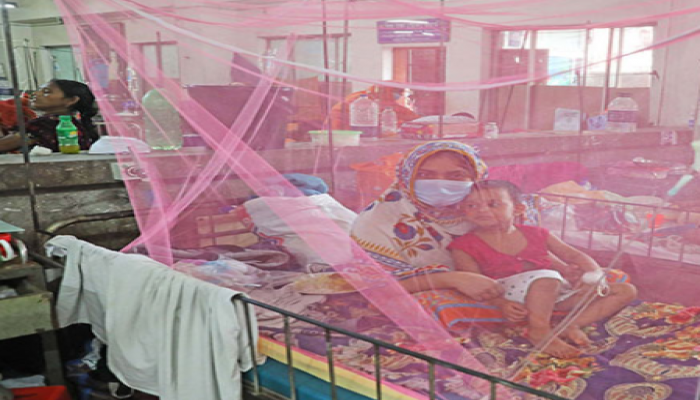 ডেঙ্গু আক্রান্ত হয়ে আরও ৩৪৩ জন হাসপাতালে ভর্তি