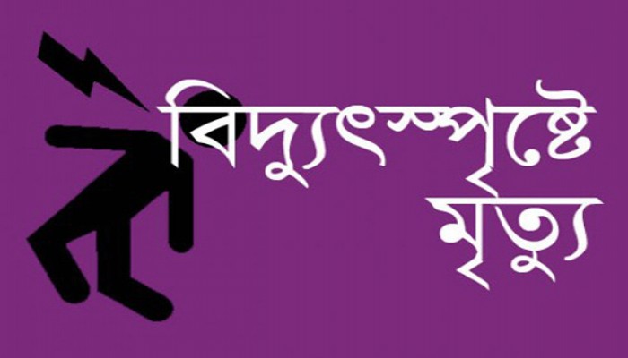 বিদ্যুতায়িত হয়ে চাচা-ভাতিজাসহ তিনজনের মৃত্যু