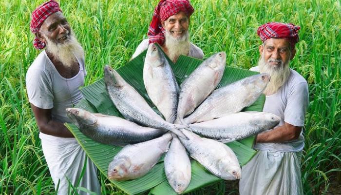 ১৩ অক্টোবর থেকে ৩ নভেম্বর পর্যন্ত ইলিশ ধরায় নিষেধাজ্ঞা