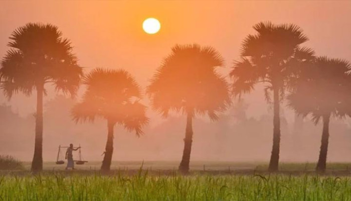 তাপমাত্রা ১০ ডিগ্রির ঘরে, শীতে কাঁপছে পঞ্চগড়