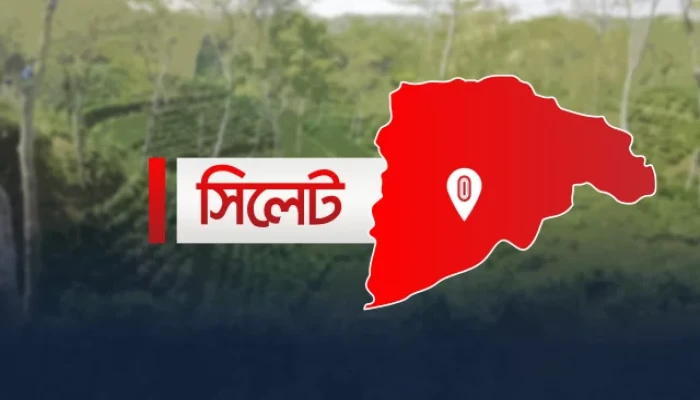 আত্মসমর্পণের পর ১৬ ছাত্রলীগ নেতা-কর্মীকে জামিন দিলেন আদালত