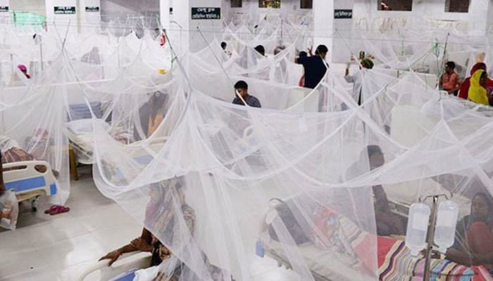ডেঙ্গুতে পাঁচজনের মৃত্যু