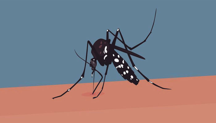 দেশে ডেঙ্গুতে আরও ৩ মৃত্যু, ভর্তি ৫৯৩