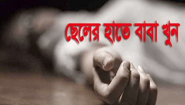 ঘাটাইলে মাদকসেবী ছেলের হাতে বাবা খুন